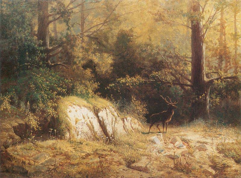 Forest landscape with a deer.